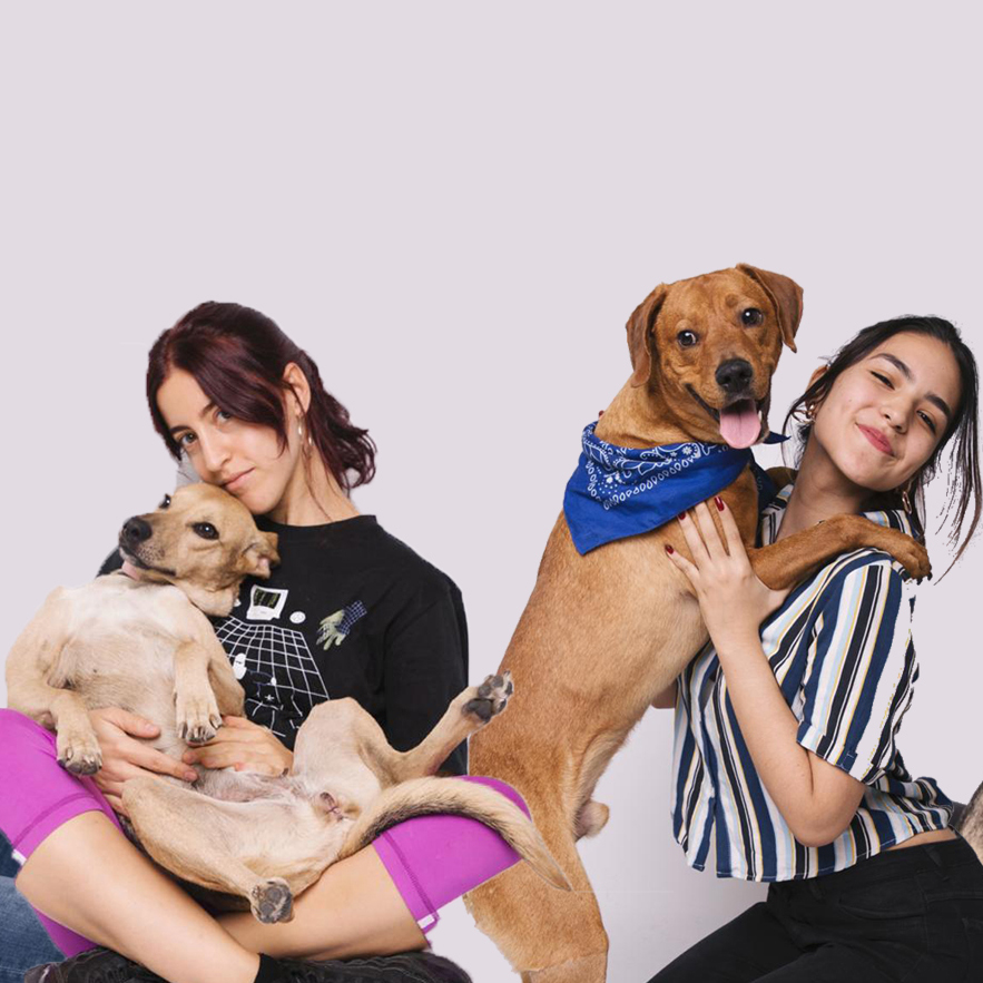 foto de dos perros con dos chicas